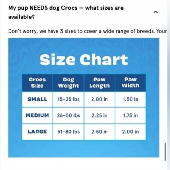 Bark dog crocs slime green (Large) - Picture 6 of 6